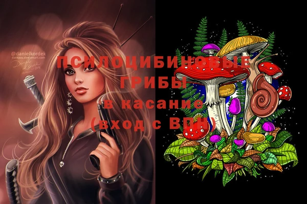 индика Абаза