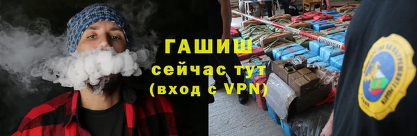 индика Абаза