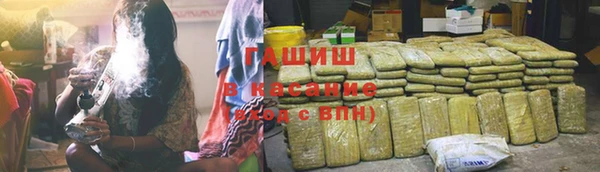 индика Абаза