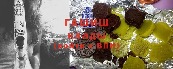 индика Абаза