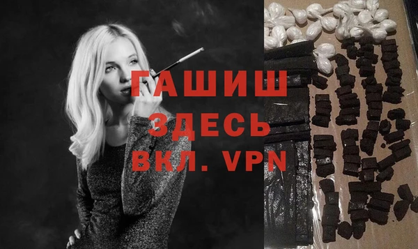 индика Абаза
