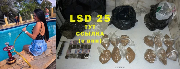 индика Абаза