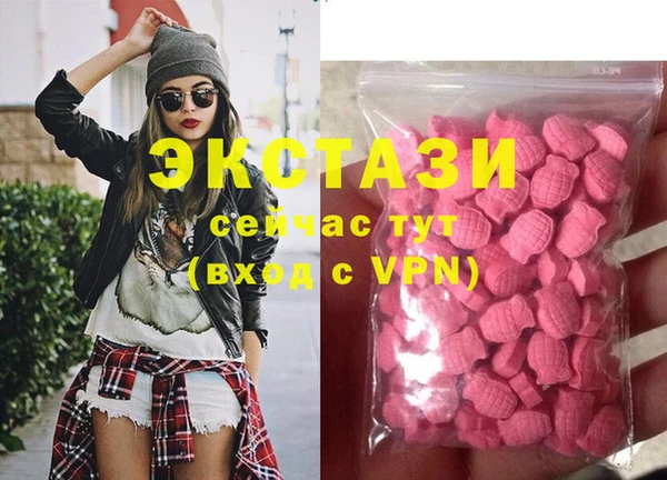 индика Абаза
