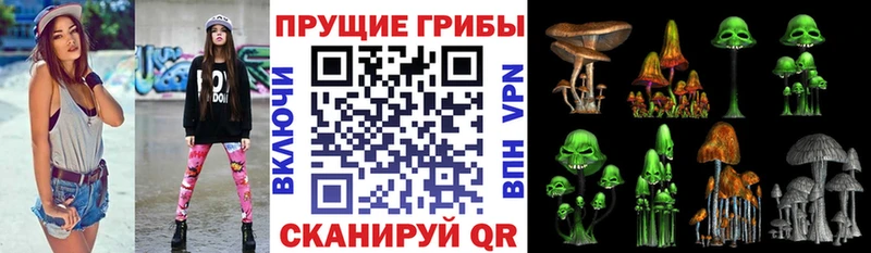 это Telegram  где купить наркоту  Усолье-Сибирское  Галлюциногенные грибы Psilocybe 